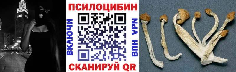 Галлюциногенные грибы Magic Shrooms  Купить  Новая Ладога 